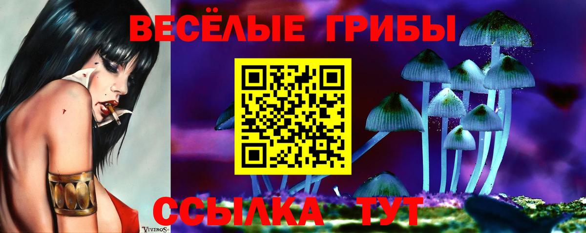 Рассказово  Псилоцибиновые грибы Magic Shrooms  Вход с VPN  Псилоцибиновые грибы Magic Shrooms 